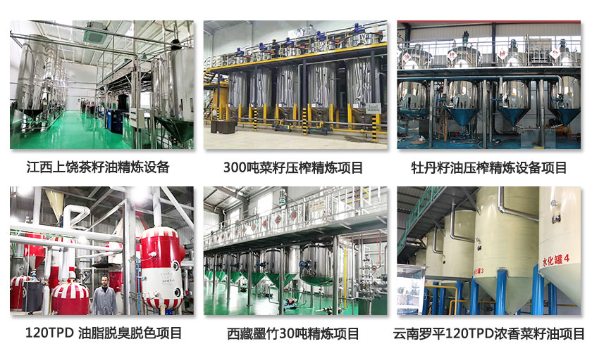 宏德精煉油設備案例